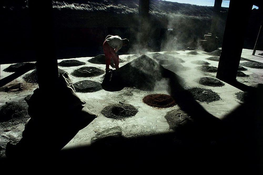 I Am Rich Potosí — selected image 7